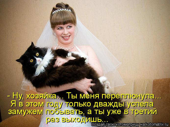 Котоматрица: - Ну, хозяйка... Ты меня переплюнула... Я в этом году только дважды успела замужем побывать, а ты уже в третий раз выходишь...