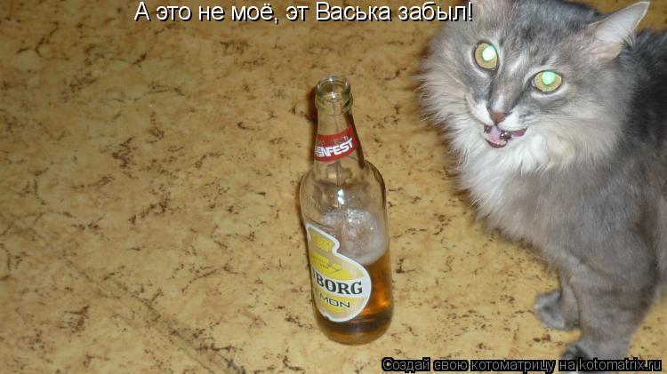 Котоматрица: А это не моё, эт Васька забыл!