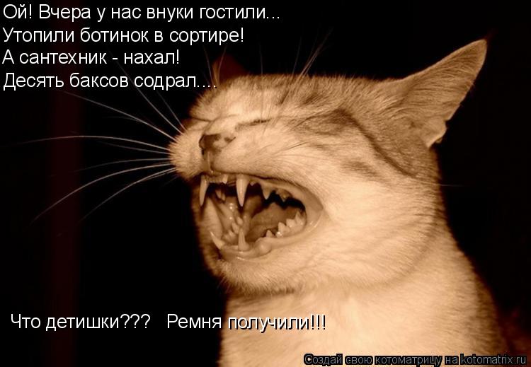 Ой! Вчера у нас внуки гостили... Утопили ботинок в сортире! А сантехник - нахал! Десять баксов содрал... Котоматрица: Ой! Вчера у нас внуки гостили... Утопили ботинок в сортире! А сантехник - нахал! Десять баксов содрал.... Что детишки??? Ремня получили!!!
