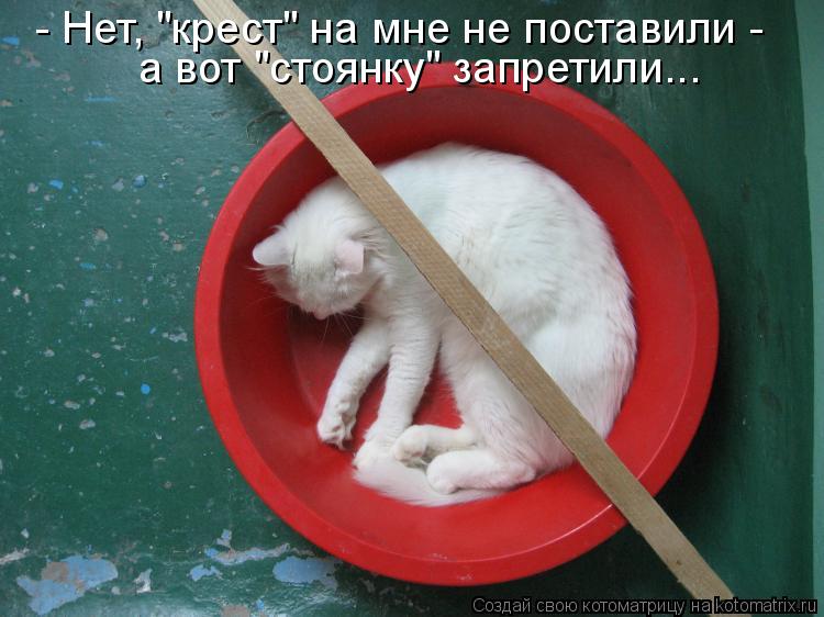 Котоматрица: - Нет, "крест" на мне не поставили -  а вот "стоянку" запретили...