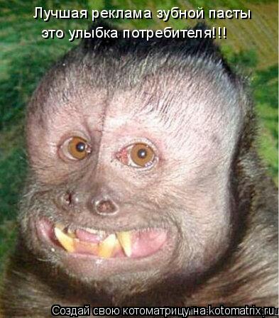 Котоматрица: Лучшая реклама зубной пасты это улыбка потребителя!!!