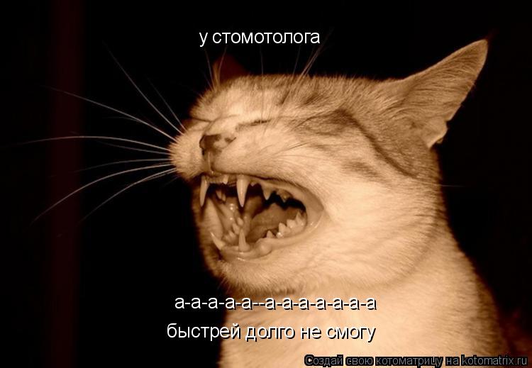 Котоматрица: у стомотолога а-а-а-а-а--а-а-а-а-а-а-а быстрей долго не смогу