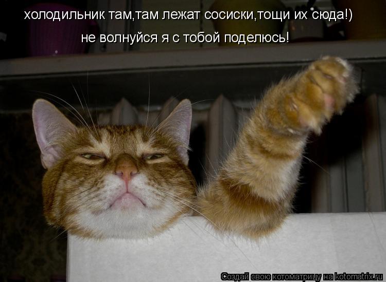 Котоматрица: холодильник там,там лежат сосиски,тощи их сюда!) не волнуйся я с тобой поделюсь!