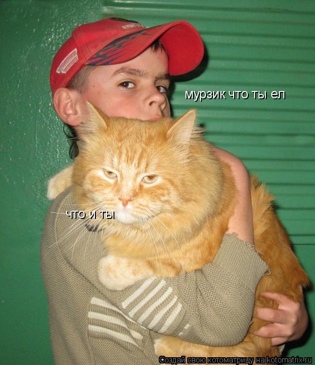 Котоматрица: мурзик что ты ел  что и ты