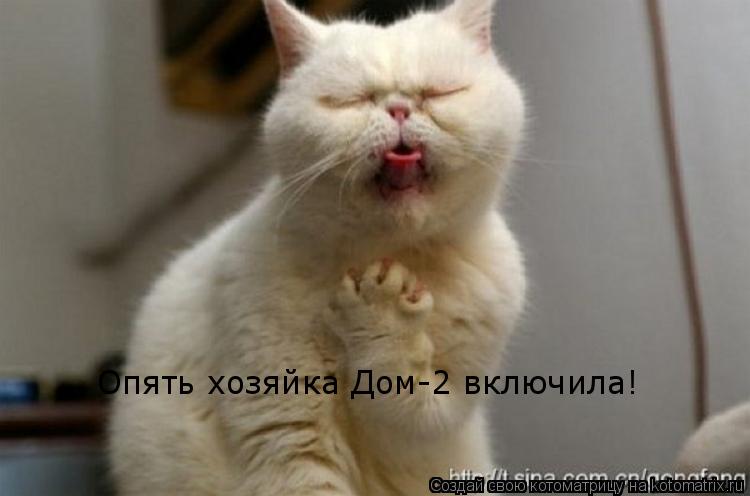 Котоматрица: Опять хозяйка Дом-2 включила!