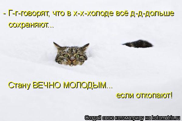 Котоматрица: - Г-г-говорят, что в х-х-холоде всё д-д-дольше  сохраняют... Стану ВЕЧНО МОЛОДЫМ...  если откопают!
