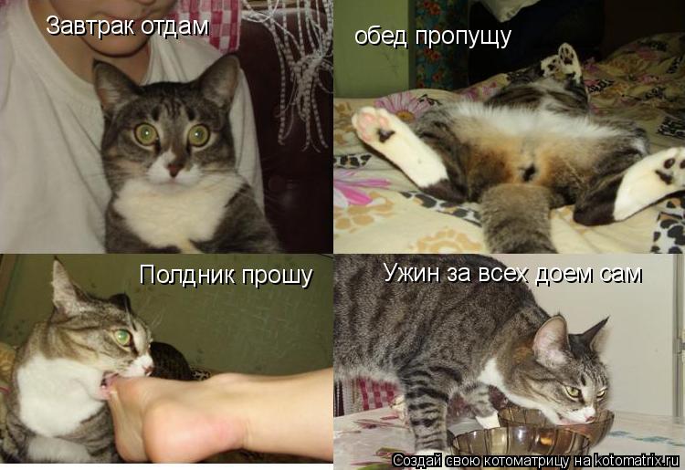 Завтрак отдам обед пропущу Полдник прошу Ужин за всех доем сам... Котоматрица: Завтрак отдам обед пропущу Полдник прошу Ужин за всех доем сам