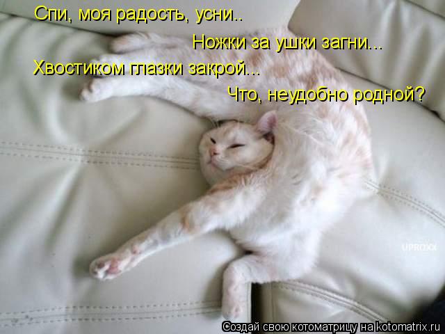 Котоматрица: Спи, моя радость, усни.. Спи, моя радость, усни.. Ножки за ушки загни... Хвостиком глазки закрой... Что, неудобно родной?