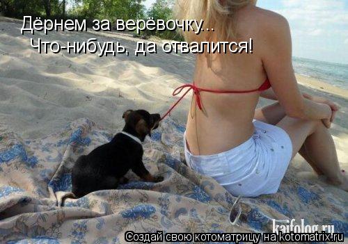 Дёрнем за верёвочку... Что-нибудь, да отвалится!... Котоматрица: Дёрнем за верёвочку... Что-нибудь, да отвалится!