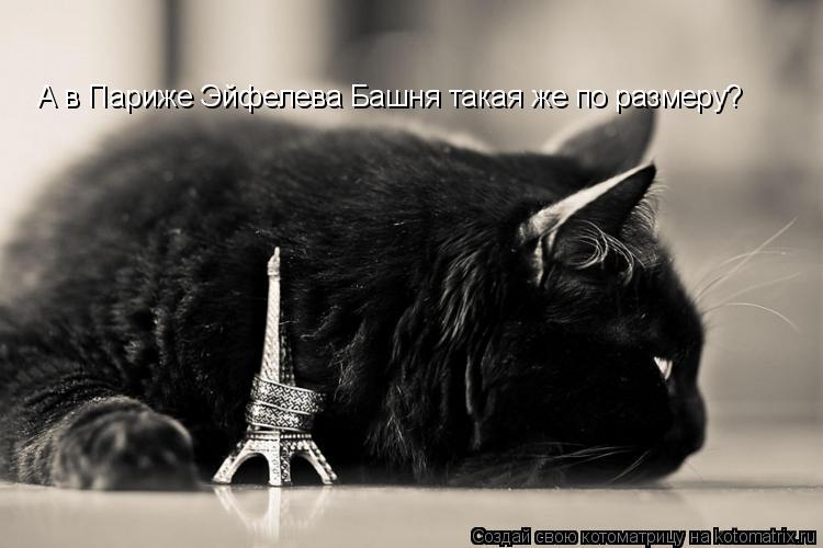 Котоматрица: А в Париже Эйфелева Башня такая же по размеру?