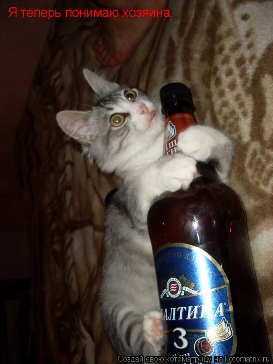 Котоматрица: Я теперь понимаю хозяина.