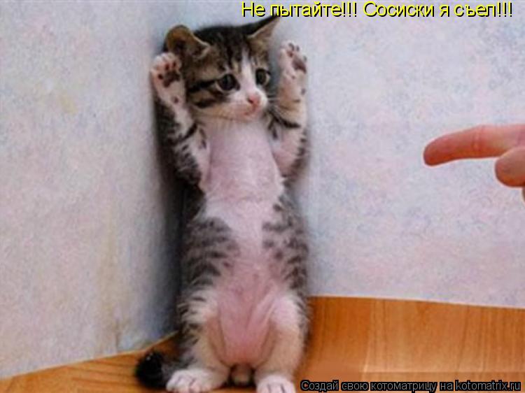 Котоматрица: Не пытайте!!! Сосиски я съел!!!
