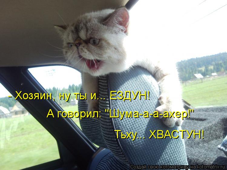 Котоматрица: - Хозяин, ну ты и... ЕЗДУН!  А говорил: "Шума-а-а-ахер!" Тьху... ХВАСТУН!