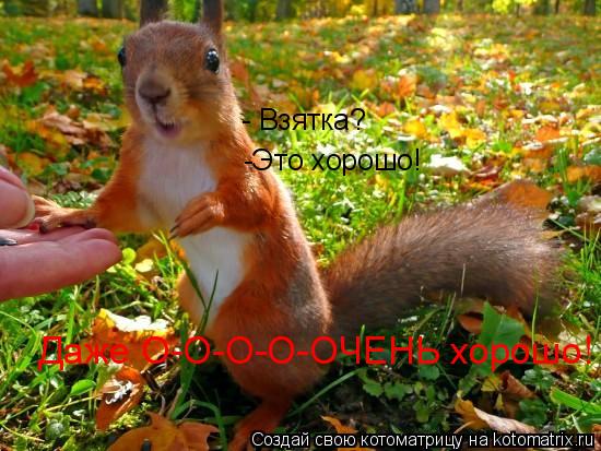 Котоматрица: - Взятка? -Это хорошо! Даже О-О-О-О-ОЧЕНЬ хорошо!