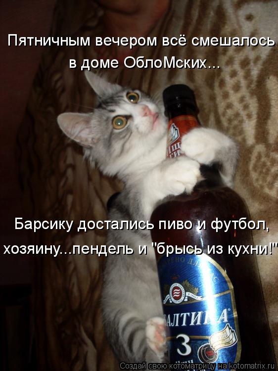 Котоматрица: Пятничным вечером всё смешалось в доме ОблоМских... Барсику достались пиво и футбол, хозяину...пендель и "брысь из кухни!"