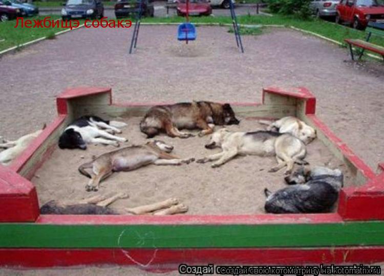 Котоматрица: Лежбищэ собакэ