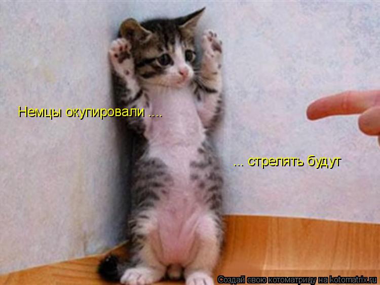 Котоматрица: Немцы окупировали .... ... стрелять будут