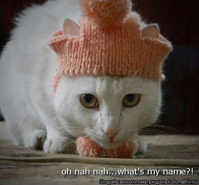 Котоматрица: oh nah nah...what's my name?!