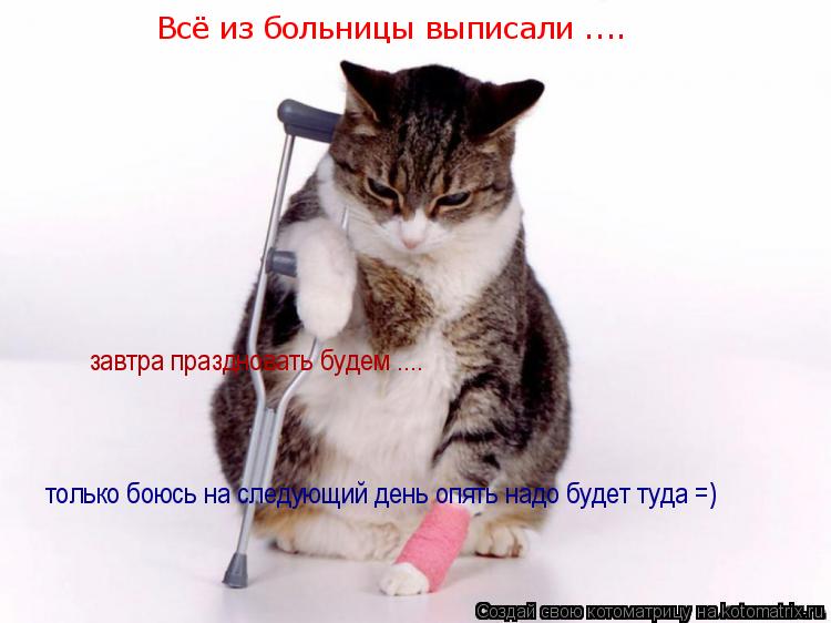 Котоматрица: Всё из больницы выписали .... завтра праздновать будем .... только боюсь на следующий день опять надо будет туда =)