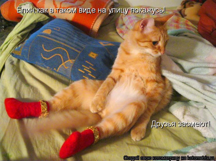 Котоматрица: Блин,как в таком виде на улицу покажусь!  Друзья засмеют!