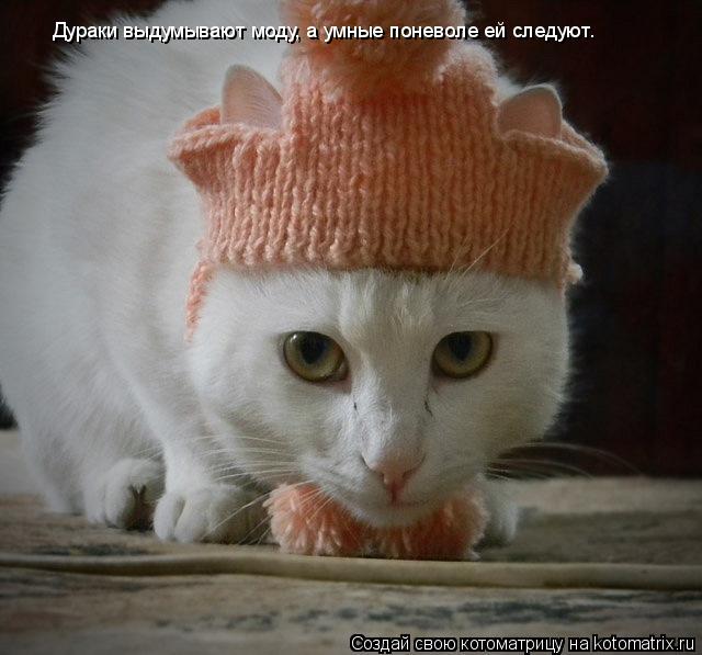Котоматрица: Дураки выдумывают моду, а умные поневоле ей следуют.