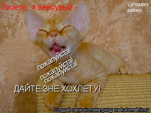 Котоматрица: Зизете, я вевсувый - ДАЙТЕ ЗНЕ ХОХЛЕТУ! пожалуйста! пожалуйста! пожалуйста!