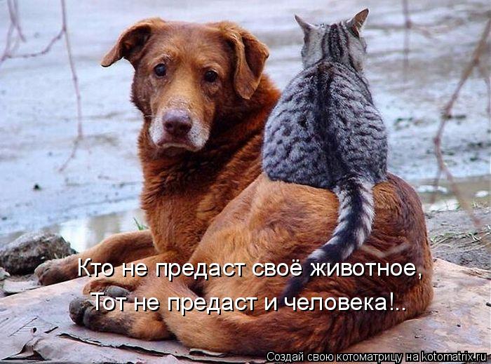 Котоматрица: Кто не предаст своё животное, Тот не предаст и человека!..
