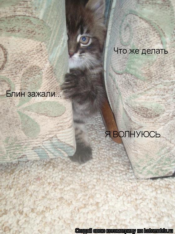 Котоматрица: Блин зажали... Что же делать  Я ВОЛНУЮСЬ