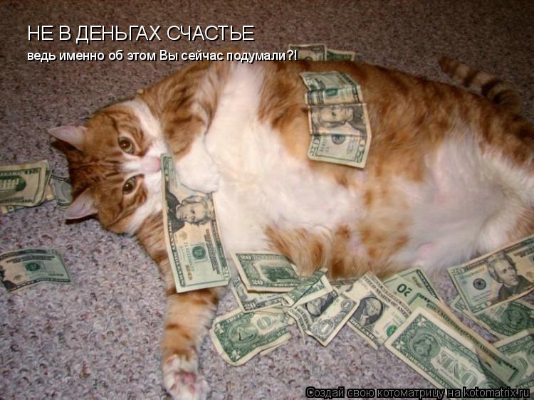 Котоматрица: НЕ В ДЕНЬГАХ СЧАСТЬЕ ведь именно об этом Вы сейчас подумали?!