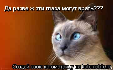 Котоматрица: Да разве ж эти глаза могут врать???
