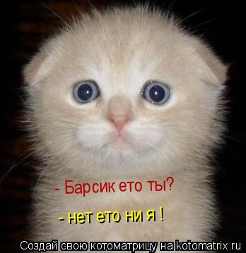 Котоматрица: - Барсик ето ты? - нет ето ни я !