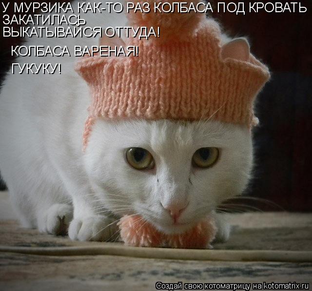 Котоматрица: ГУКУКУ! КОЛБАСА ВАРЕНАЯ! У МУРЗИКА КАК-ТО РАЗ КОЛБАСА ПОД КРОВАТЬ ЗАКАТИЛАСЬ ВЫКАТЫВАЙСЯ ОТТУДА!