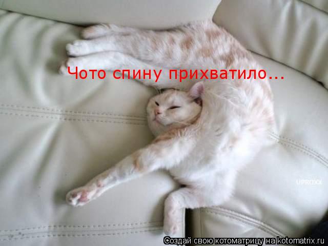 Чото спину прихватило...... Котоматрица: Чото спину прихватило...