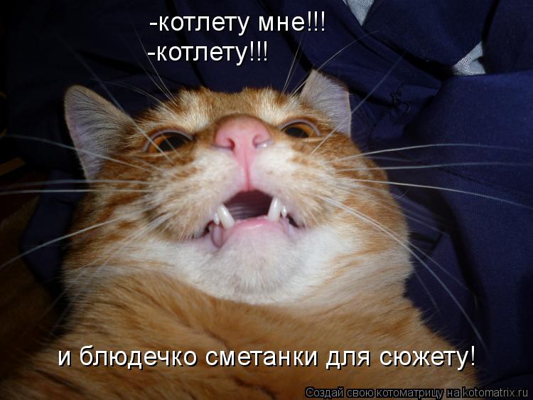 -котлету мне!!! -котлету!!! и блюдечко сметанки для сюжету!... Котоматрица: -котлету мне!!! -котлету!!! и блюдечко сметанки для сюжету!