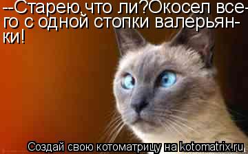 --Старею,что ли?Окосел все- го с одной стопки валерьян- ки!... Котоматрица: --Старею,что ли?Окосел все- го с одной стопки валерьян- ки!