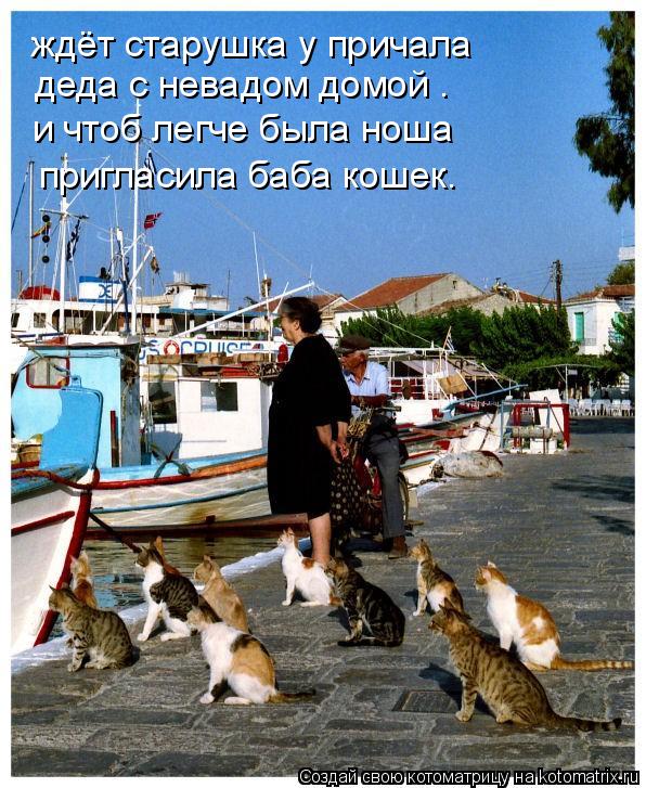 ждёт старушка у причала деда с невадом домой . и чтоб легче была ноша пригласила баба кошек.... Котоматрица: ждёт старушка у причала деда с невадом домой . и чтоб легче была ноша пригласила баба кошек.