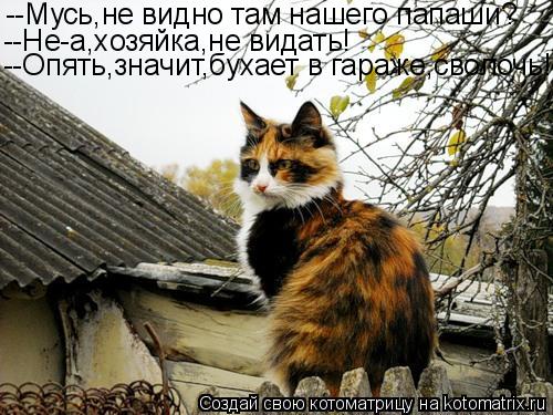 --Мусь,не видно там нашего папаши? --Не-а,хозяйка,не видать! --Опять,значит,бухает в гараже,сволочь!... Котоматрица: --Мусь,не видно там нашего папаши? --Не-а,хозяйка,не видать! --Опять,значит,бухает в гараже,сволочь!