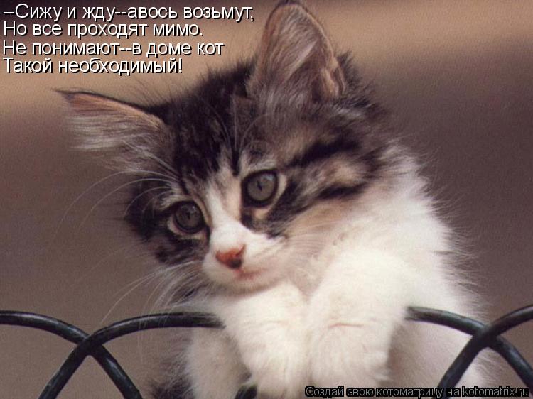 --Сижу и жду--авось возьмут, Но все проходят мимо. Не понимают--в доме кот Такой необходимый! Такой н... Котоматрица: --Сижу и жду--авось возьмут, Но все проходят мимо. Не понимают--в доме кот Такой необходимый! Такой необходимый!