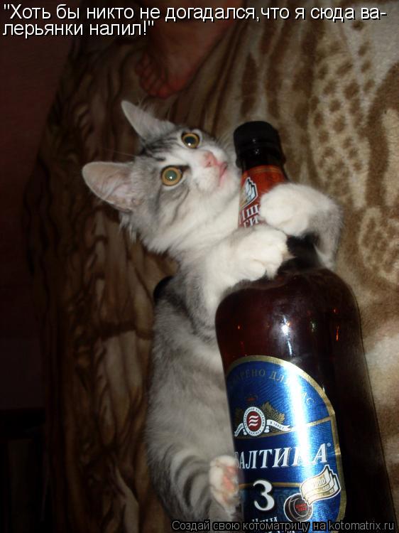 "Хоть бы никто не догадался,что я сюда ва- лерьянки налил!"... Котоматрица: "Хоть бы никто не догадался,что я сюда ва- лерьянки налил!"