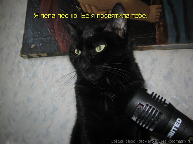 Я пела песню. Её я посвятила тебе.... Котоматрица: Я пела песню. Её я посвятила тебе.