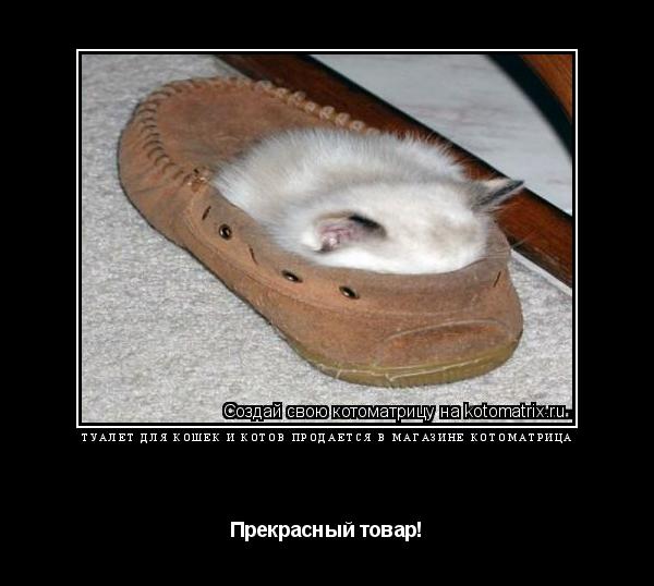 Котоматрица: ТуАЛЕТ ДЛЯ кошек и котов продаётся в магазине КОТОМАТРИЦА Прекрасный товар!