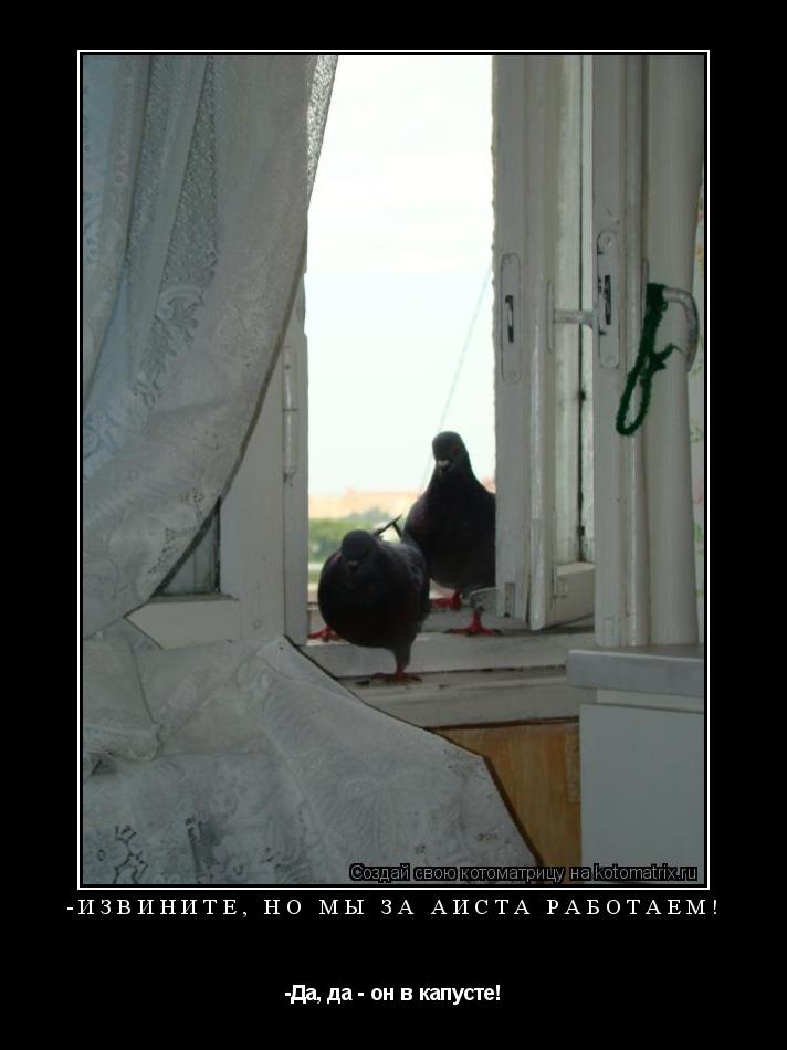 Котоматрица: -Извините, но мы за аиста работаем! -Да, да - он в капусте!