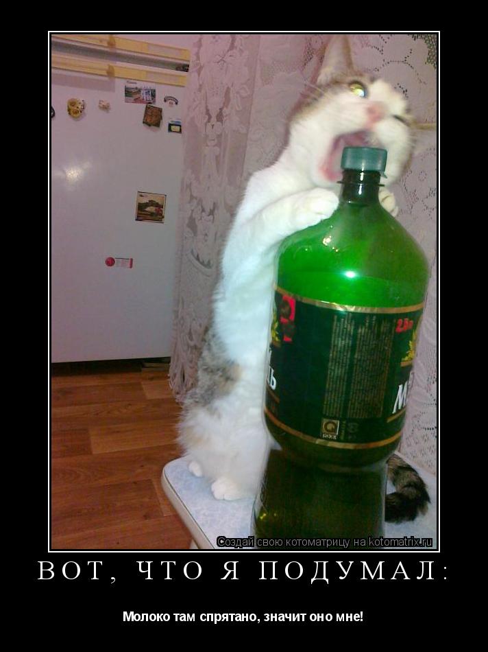 Котоматрица: Вот, что я подумал: Молоко там спрятано, значит оно мне!