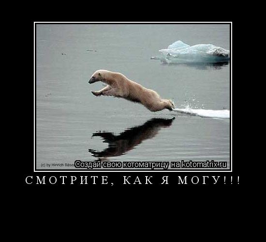 Котоматрица: Смотрите, как я могу!!! 