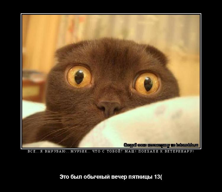 Всё.. я вырубаю.. Мурзик.. что с тобой? Маш! Поехали к ветеринару! Это был обычный вечер пятницы 13(... Котоматрица: Всё.. я вырубаю.. Мурзик.. что с тобой? Маш! Поехали к ветеринару! Это был обычный вечер пятницы 13(