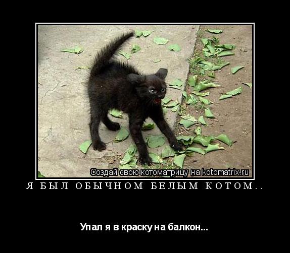 Котоматрица: Я был обычном белым котом.. Упал я в краску на балкон...