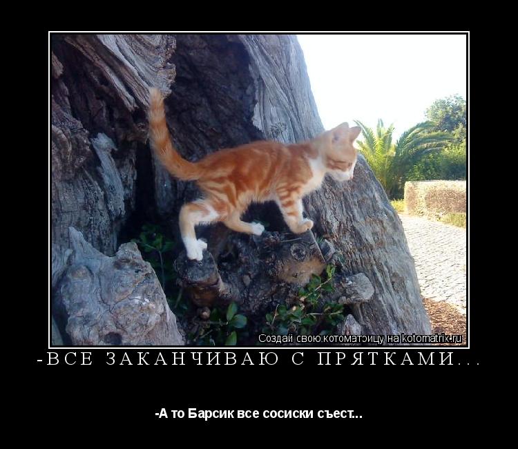 Котоматрица: -Всё заканчиваю с прятками... -А то Барсик все сосиски съест...