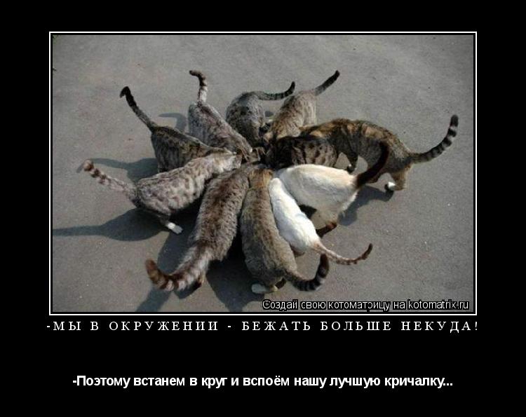 Котоматрица: -Мы в окружении - бежать больше некуда! -Поэтому встанем в круг и вспоём нашу лучшую кричалку...