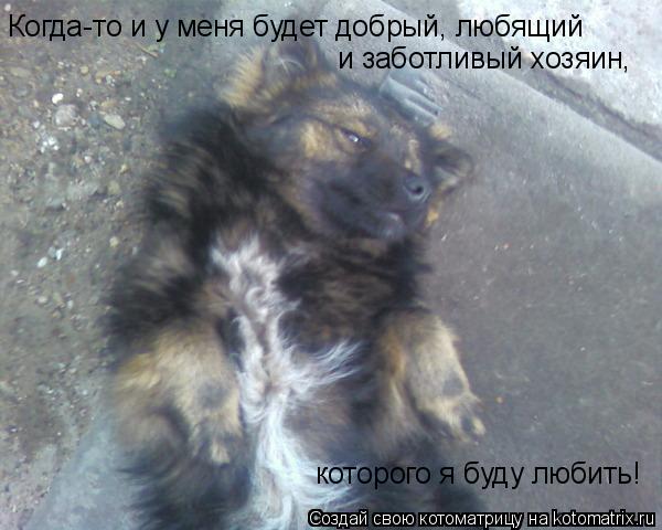 Когда-то и у меня будет добрый, любящий и заботливый хозяин, которого я буду любить!... Котоматрица: Когда-то и у меня будет добрый, любящий и заботливый хозяин, которого я буду любить!