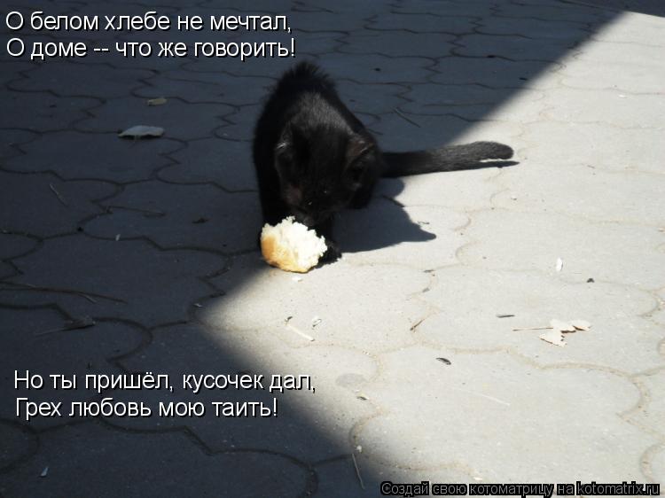 О белом хлебе не мечтал, О доме -- что же говорить! Но ты пришёл, кусочек дал, Грех любовь мою таить!... Котоматрица: О белом хлебе не мечтал, О доме -- что же говорить! Но ты пришёл, кусочек дал, Грех любовь мою таить!